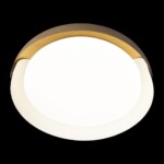 в наличии 10198 White Потолочный светильник LOFT IT Coin - купить в интернет-магазине Светильники Торг