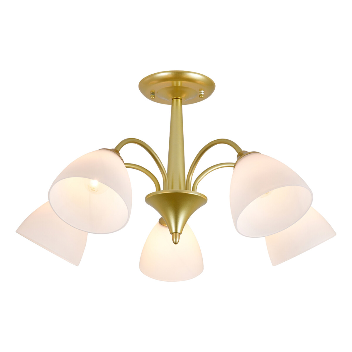 150003/5R E27*60W Gold — изображение 1