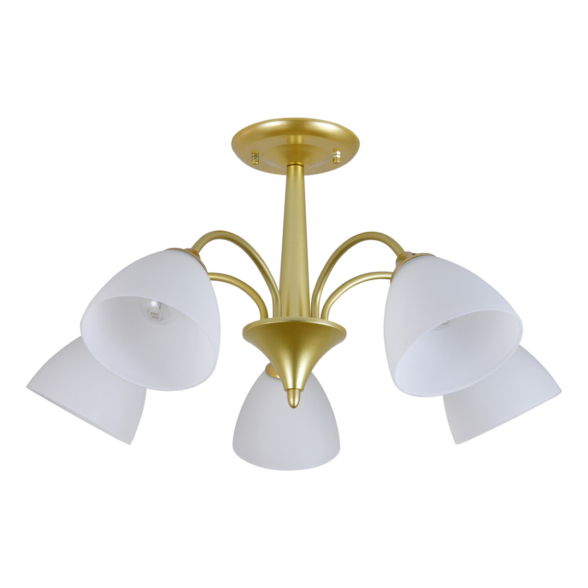 150003/5R E27*60W Gold — изображение 2