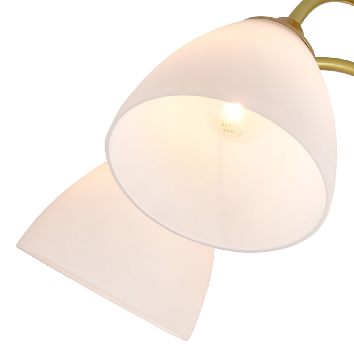 150003/5R E27*60W Gold — изображение 3