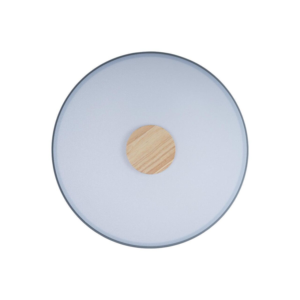 10003/24 Grey Потолочный светильник LOFT IT Axel — изображение 3