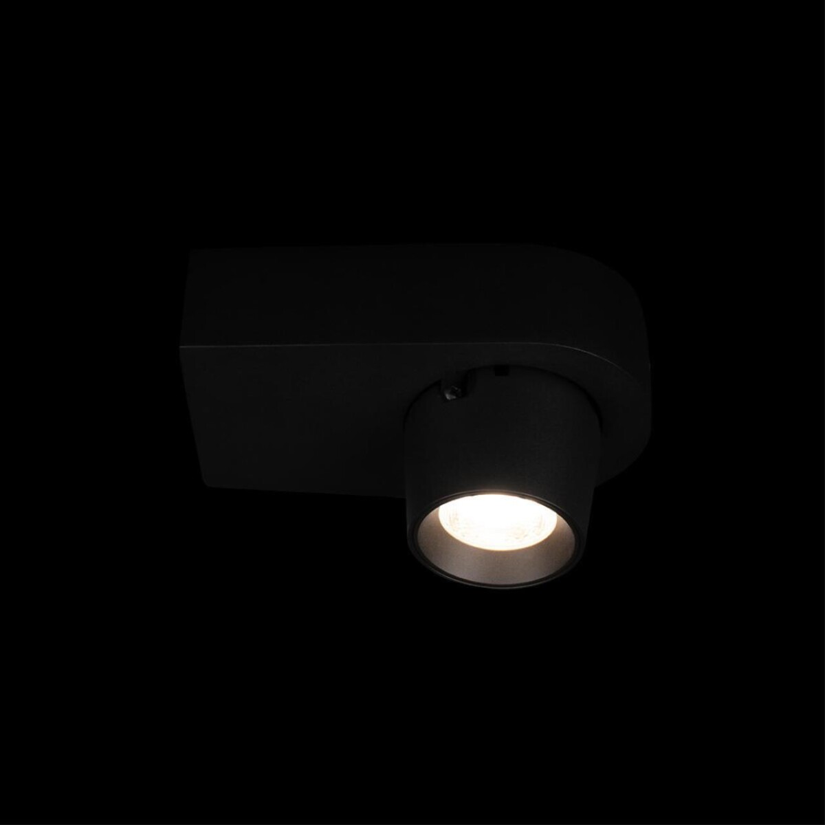 в наличии 10320 Black Накладной светильник LOFT IT Quiet - купить в интернет-магазине Светильники Торг