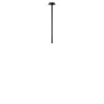 в наличии 10359/500 Black Потолочный светильник LOFT IT Cane - купить в интернет-магазине Светильники Торг
