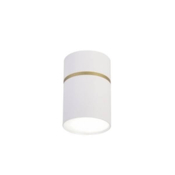 3067-1C, потолочный светильник, D68xH100, 1xGU10LEDx10W, IP20, excluded