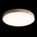 10004/36 White Потолочный светильник LOFT IT Axel — изображение 2