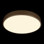 в наличии 10228/A Потолочный светильник LOFT IT Flims - купить в интернет-магазине Светильники Торг