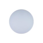 10002/48 White Потолочный светильник LOFT IT Axel — изображение 5