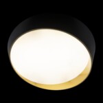 в наличии 10199 Black Потолочный светильник LOFT IT Coin - купить в интернет-магазине Светильники Торг