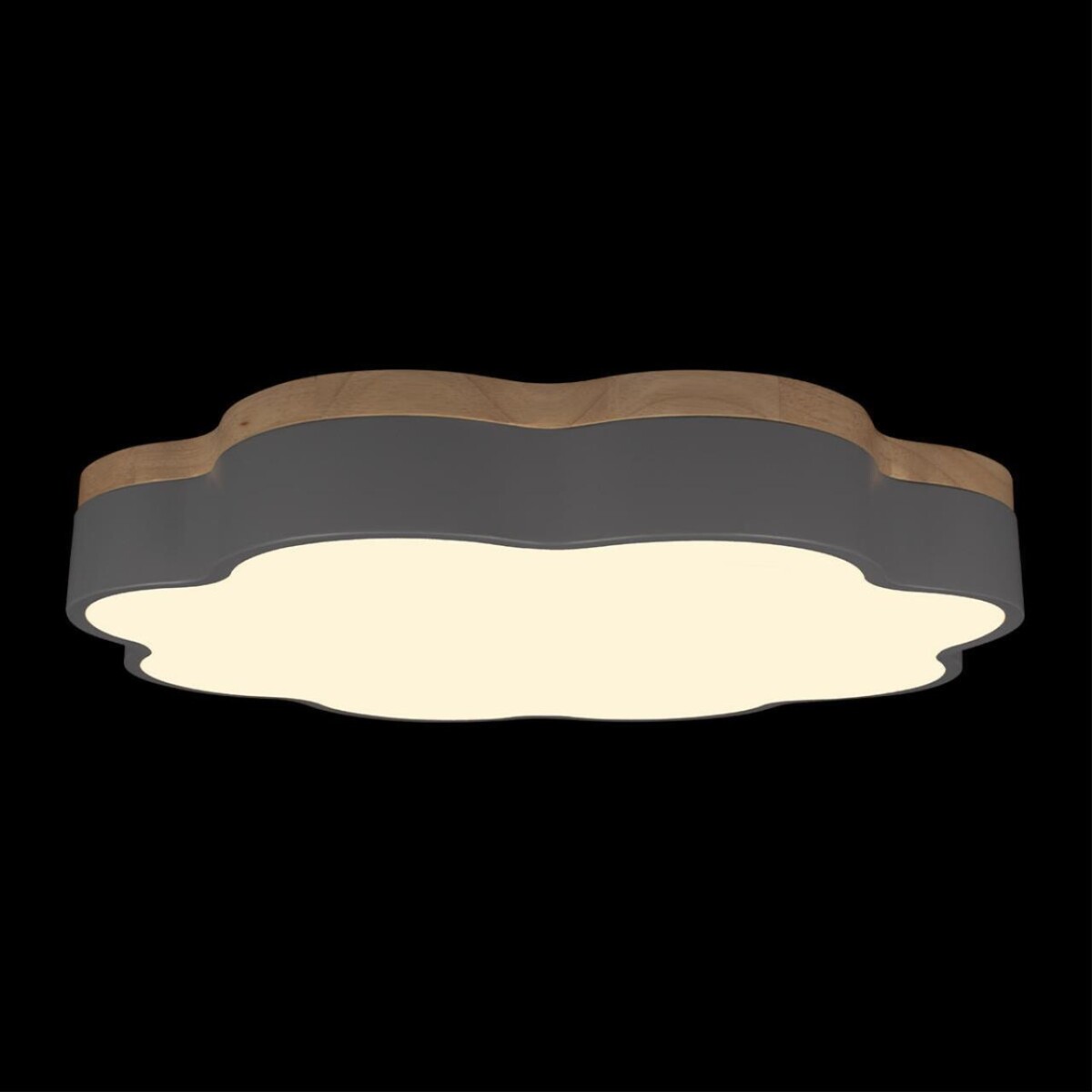 10225/36 Grey Потолочный светильник LOFT IT Axel — изображение 4