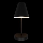 в наличии 10216/1W Black Настенный светильник LOFT IT Shelf - купить в интернет-магазине Светильники Торг
