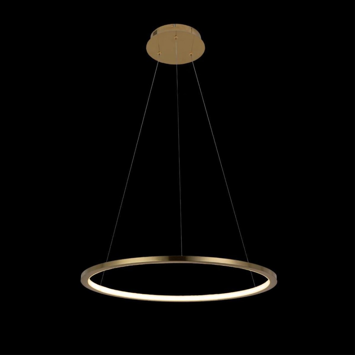 10014M Подвесной светильник LOFT IT Ring — изображение 2