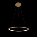10014M Подвесной светильник LOFT IT Ring — изображение 2
