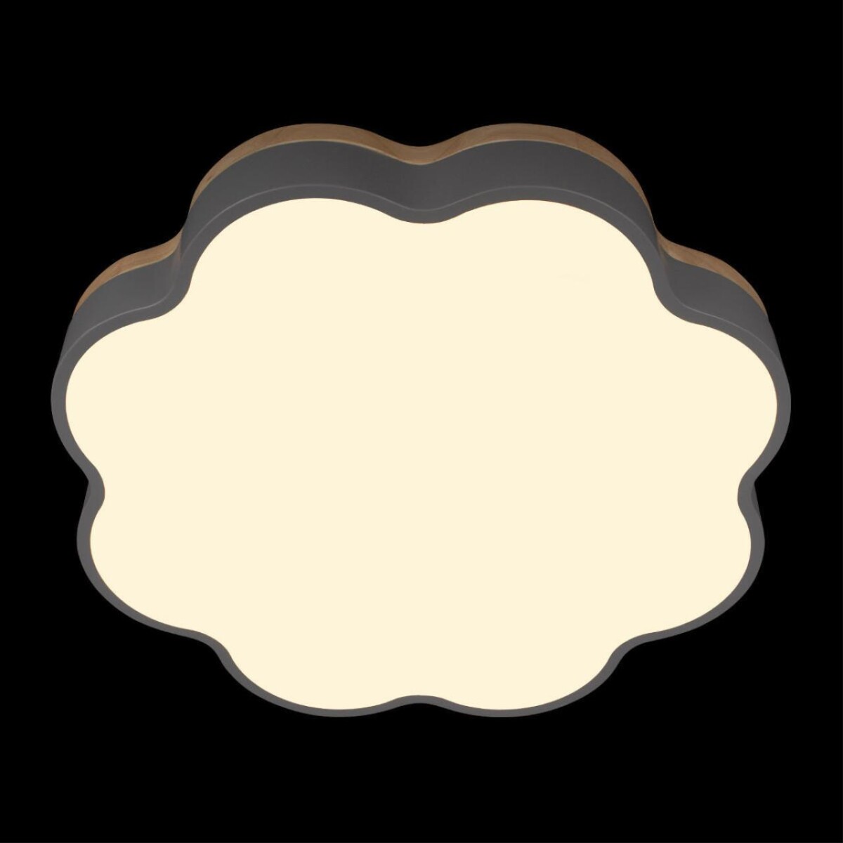 10225/36 Grey Потолочный светильник LOFT IT Axel — изображение 6