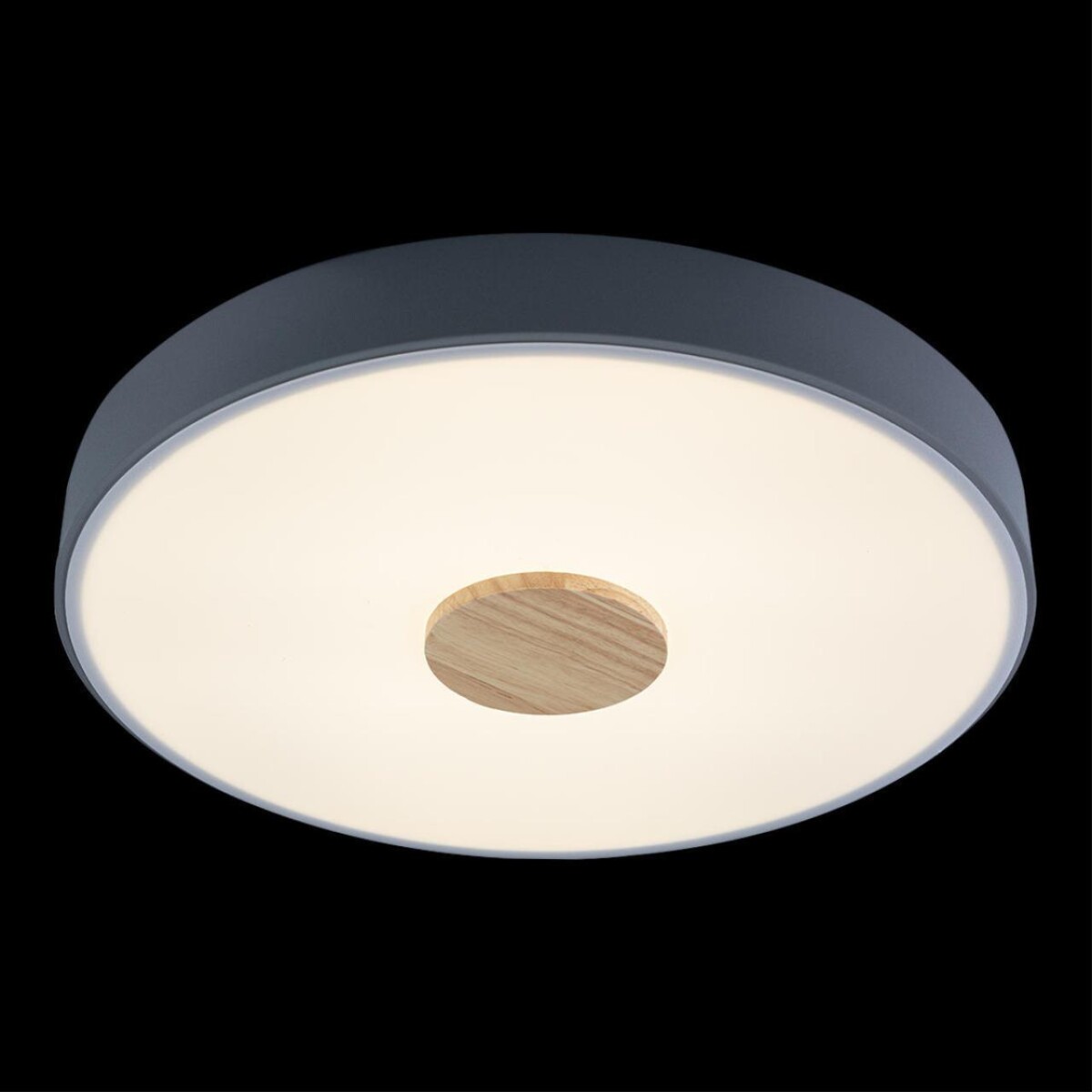 10003/24 Grey Потолочный светильник LOFT IT Axel — изображение 4