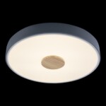 10003/24 Grey Потолочный светильник LOFT IT Axel — изображение 4