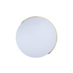 10004/36 White Потолочный светильник LOFT IT Axel — изображение 5