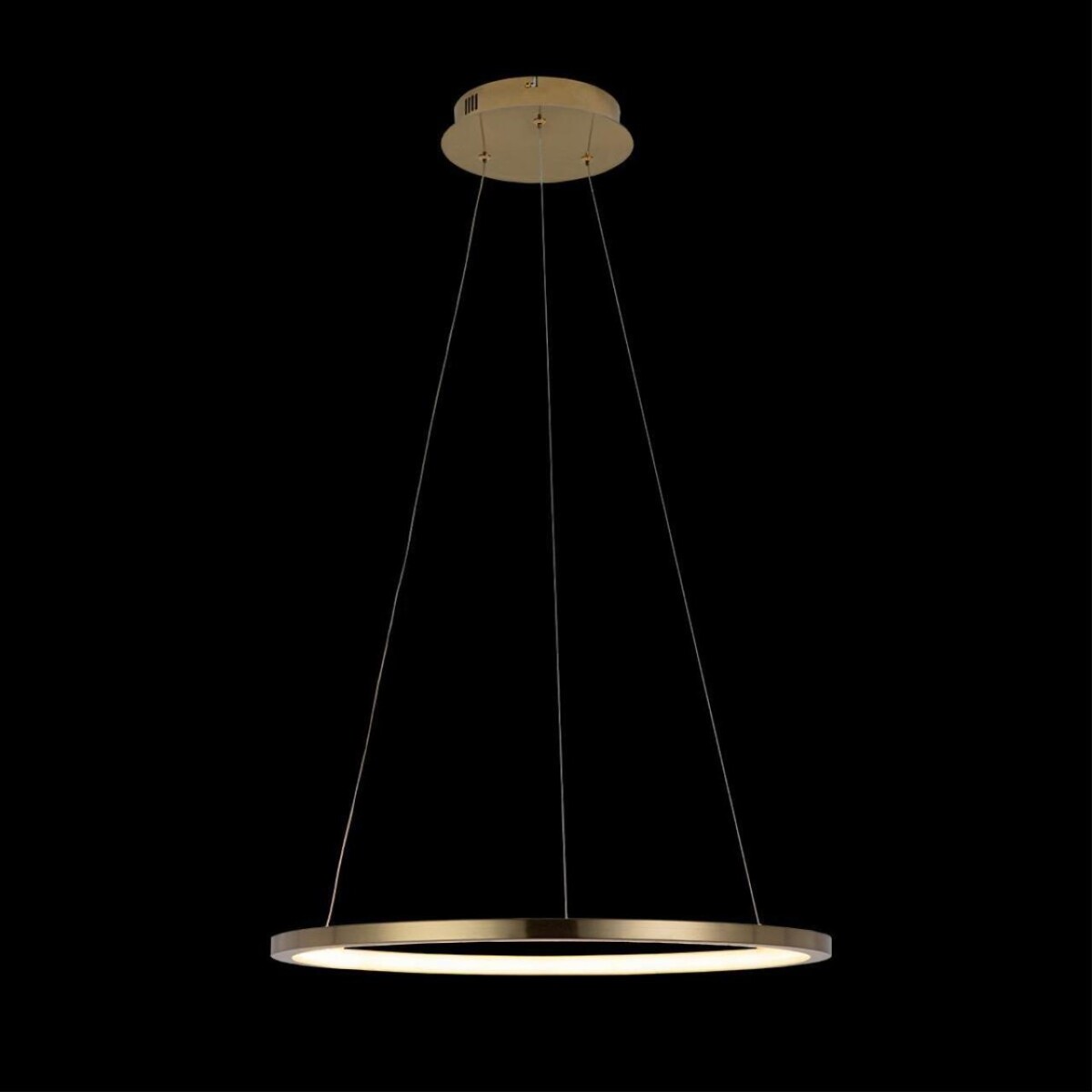 10014M Подвесной светильник LOFT IT Ring — изображение 4