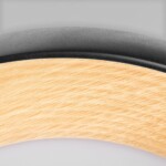 в наличии 10255/500 Black Потолочный светильник LOFT IT Folk - купить в интернет-магазине Светильники Торг