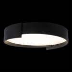 в наличии 10200 Black Потолочный светильник LOFT IT Coin - купить в интернет-магазине Светильники Торг