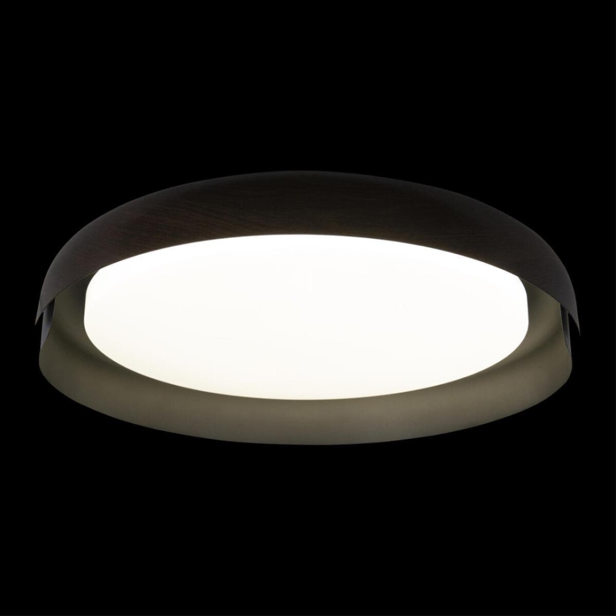 в наличии 10198 Black Потолочный светильник LOFT IT Coin - купить в интернет-магазине Светильники Торг