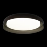 в наличии 10198 Black Потолочный светильник LOFT IT Coin - купить в интернет-магазине Светильники Торг