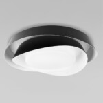 в наличии 10256 Black Потолочный светильник LOFT IT Petale - купить в интернет-магазине Светильники Торг