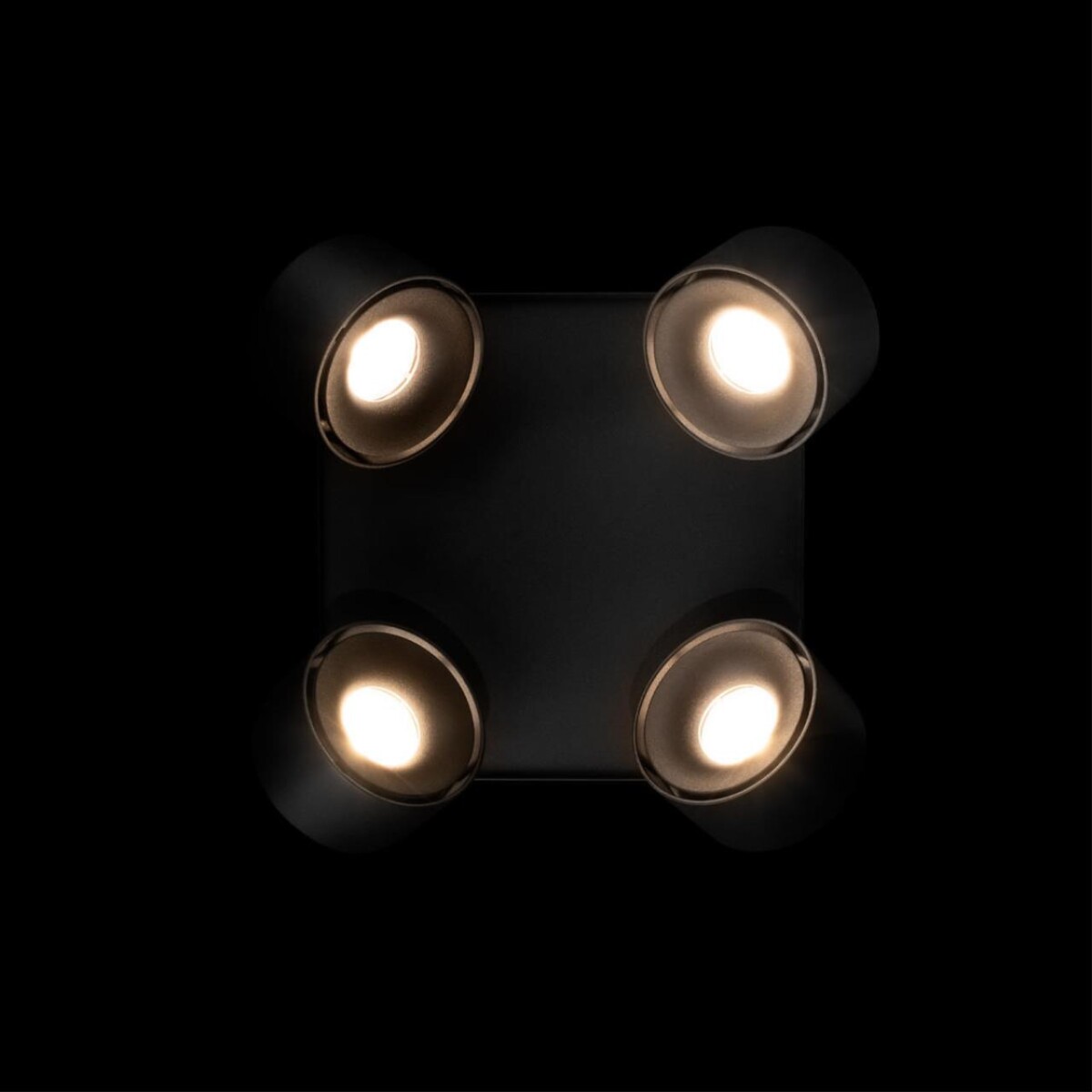 в наличии 10326 Black Накладной светильник LOFT IT Case - купить в интернет-магазине Светильники Торг