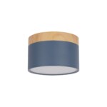 в наличии 10162 Blue Накладной светильник LOFT IT Grape - купить в интернет-магазине Светильники Торг