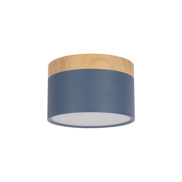 в наличии 10162 Blue Накладной светильник LOFT IT Grape - купить в интернет-магазине Светильники Торг