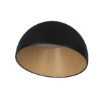 в наличии 10197/350 Black Потолочный светильник LOFT IT Egg - купить в интернет-магазине Светильники Торг