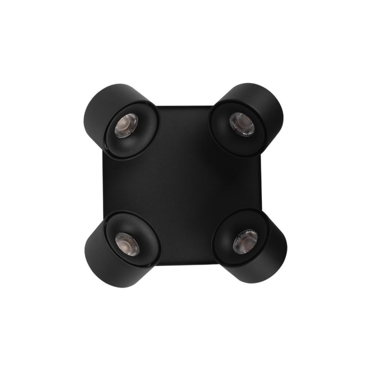 в наличии 10326 Black Накладной светильник LOFT IT Case - купить в интернет-магазине Светильники Торг