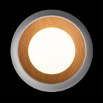 в наличии 10255/350 White Потолочный светильник LOFT IT Folk - купить в интернет-магазине Светильники Торг