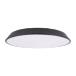 в наличии 10226 Black Потолочный светильник LOFT IT Brim - купить в интернет-магазине Светильники Торг