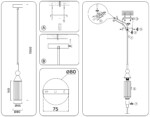 в наличии LH55251 BK/BS/CL черный/латунь/прозрачный E14 max 40W D65*1500 - купить в интернет-магазине Светильники Торг