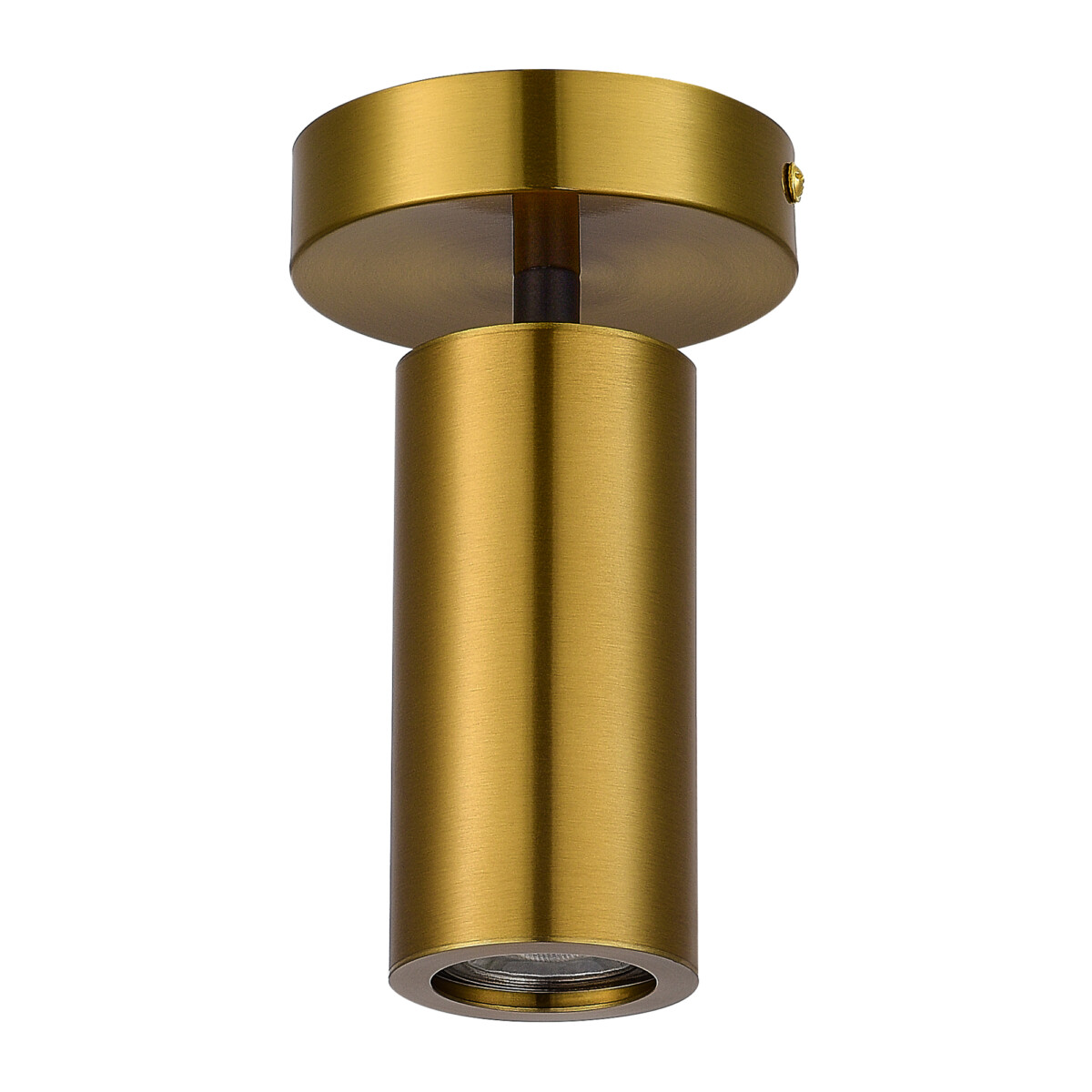 SL1215.402.01 Светильник потолочный ST-Luce Черный, Латунь/Латунь GU10 1*5W 4000K TALIA — изображение 2