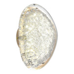 SL6018.203.15 Светильник настенный ST-Luce золотистый / прозрачный LED 1*15W 4000K MYSTERY