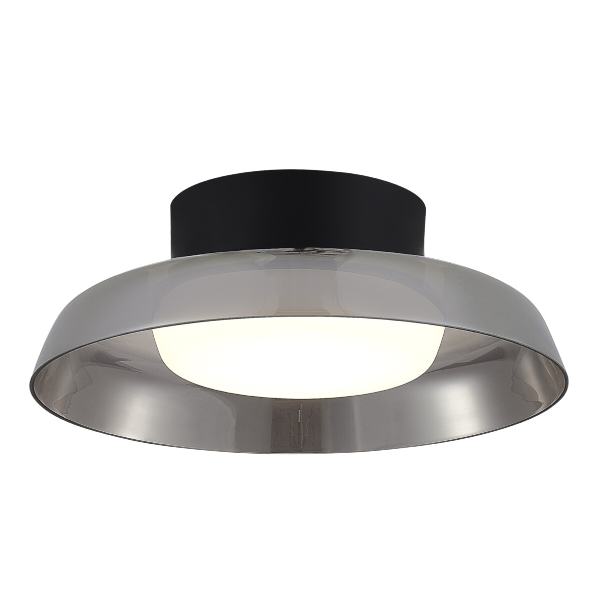 SL6019.412.01 Светильник потолочный ST-Luce Черный/Дымчатый, Белый LED 1*36W 3000K FORAY — изображение 1