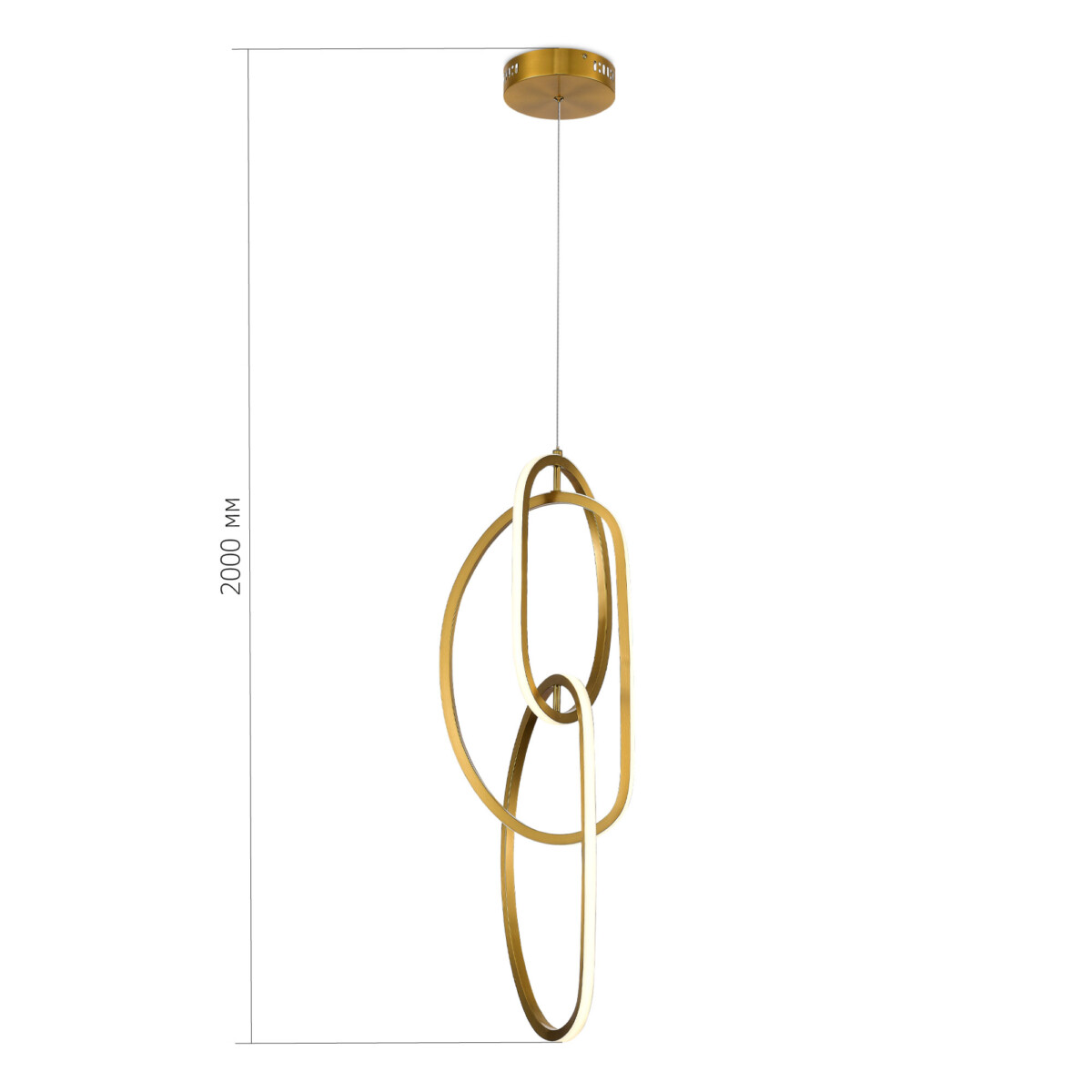 SL6505.213.42 Подвес ST-Luce Золотистый/Золотистый LED 1*42W 4000K ABRA — изображение 4