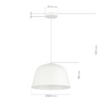 SLE1805-503-01 Светильник подвесной Белый/Белый E27 1*40W BLANK — изображение 4