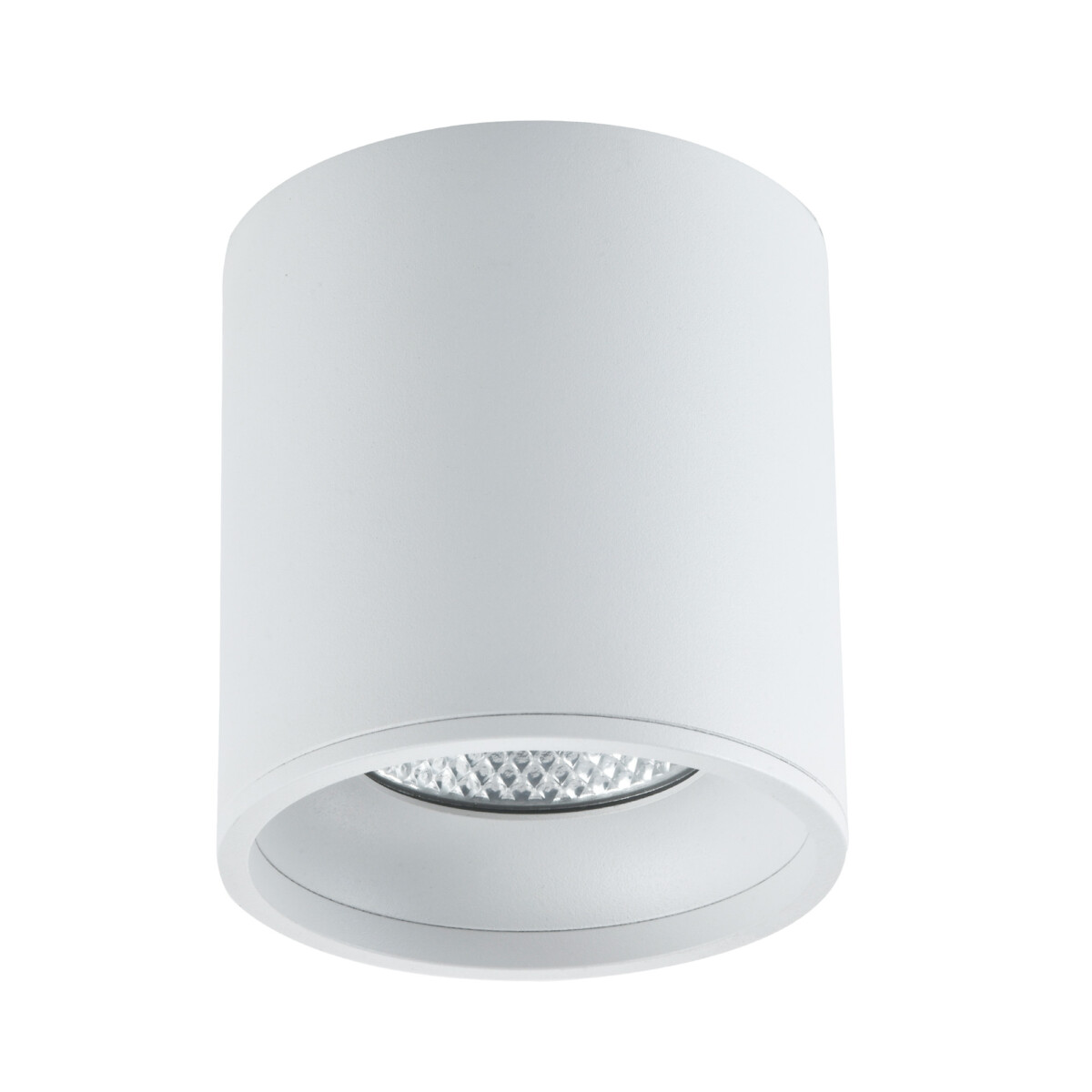 ST165.542.12 Светильник потолочный Белый LED 1*12W 4000K 840Lm Ra>90 36° IP44 D80xH85 85-265V Накладные светильники - купить в интернет-магазине Светильники Торг