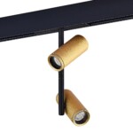 ST808.236.16 Магнитный трековый светильник Золотистый LED 1*16W 3000K 1 100Lm Ra>90 36° IP20 D45xH24 SKYLINE 48 — изображение 2