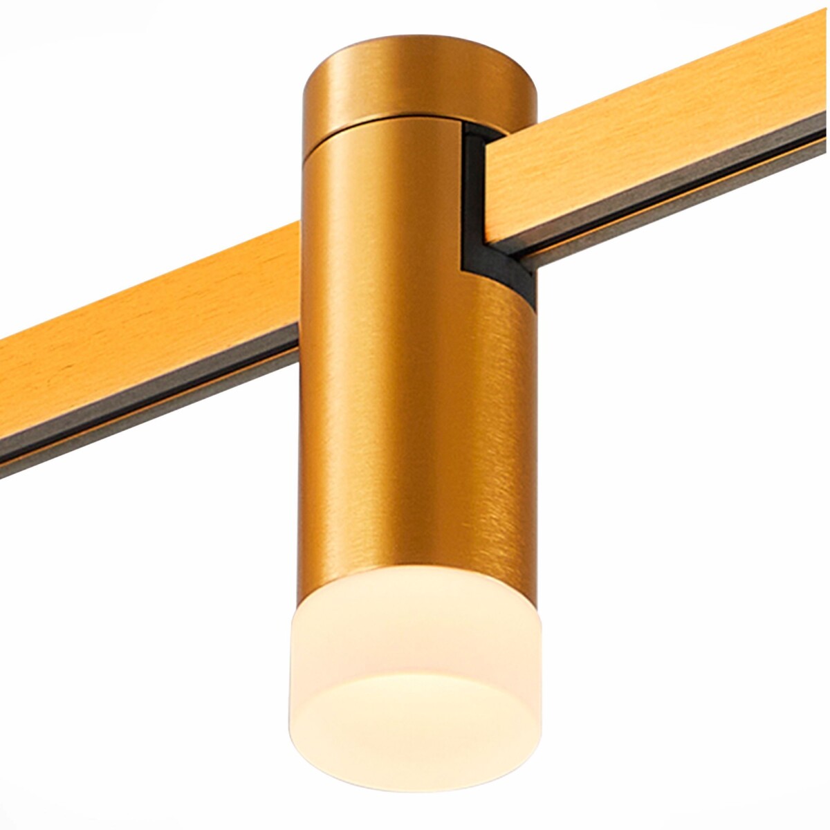 ST812.246.03_01W ST812.246.03 Магнитный трековый светильник FARM Золотистый LED 1*3W 4000K 93Lm Ra90 120 IP20 D29xH9 FARM — изображение 1