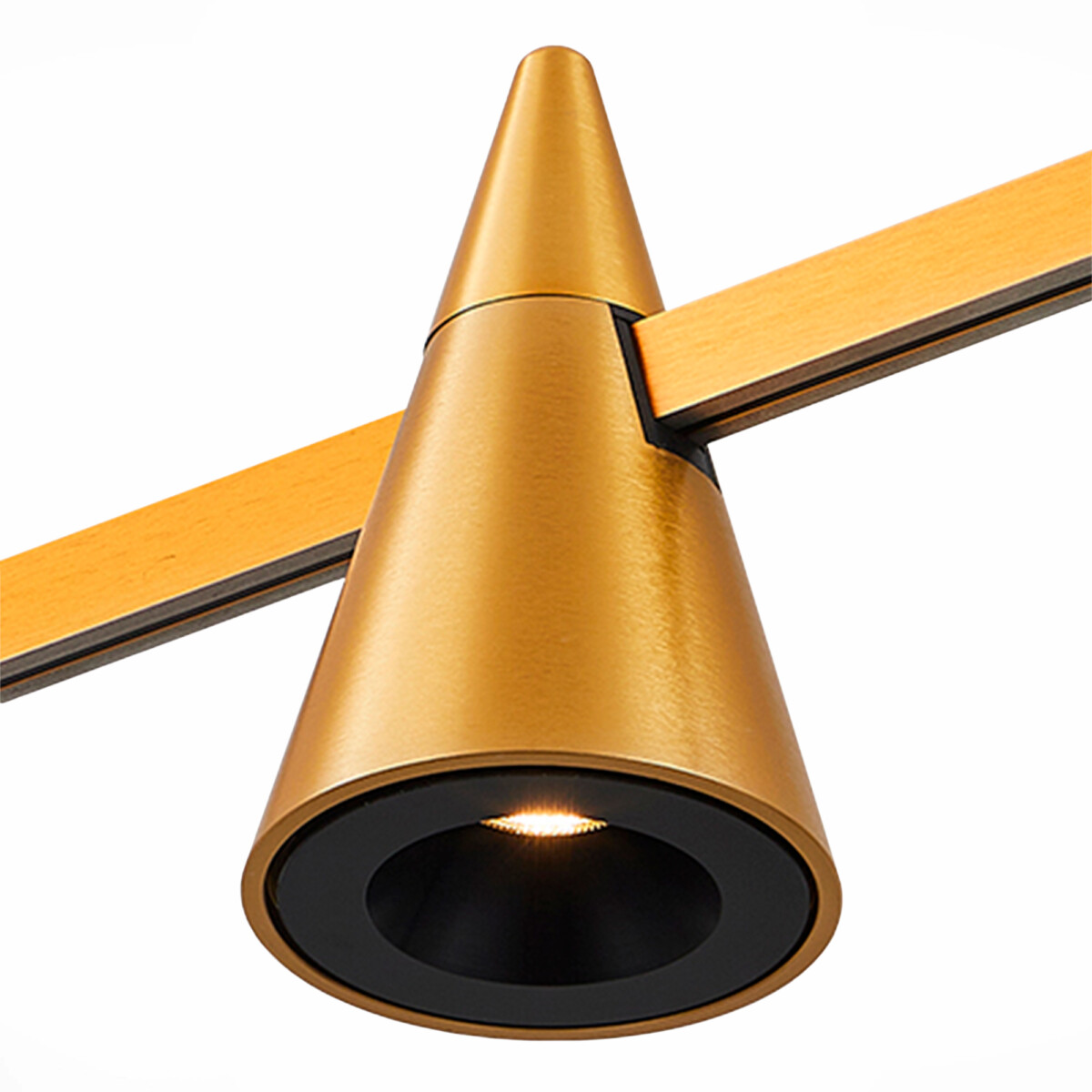 ST813.206.05 Магнитный трековый светильник FARM Золотистый LED 1*5W 3000K 272Lm Ra90 60 IP20 D70xH11 FARM — изображение 1