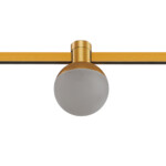 ST815.206.05 Магнитный трековый светильник FARM Золотистый LED 1*5W 3000K 89Lm Ra90 120 IP20 D75xH10 FARM — изображение 3