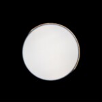 в наличии 10004/36 Grey Потолочный светильник LOFT IT Axel - купить в интернет-магазине Светильники Торг