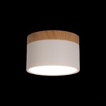 в наличии 10162 White Накладной светильник LOFT IT Grape - купить в интернет-магазине Светильники Торг