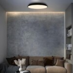 в наличии 10226 Black Потолочный светильник LOFT IT Brim - купить в интернет-магазине Светильники Торг