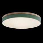 в наличии 10001/36 Green Потолочный светильник LOFT IT Axel - купить в интернет-магазине Светильники Торг