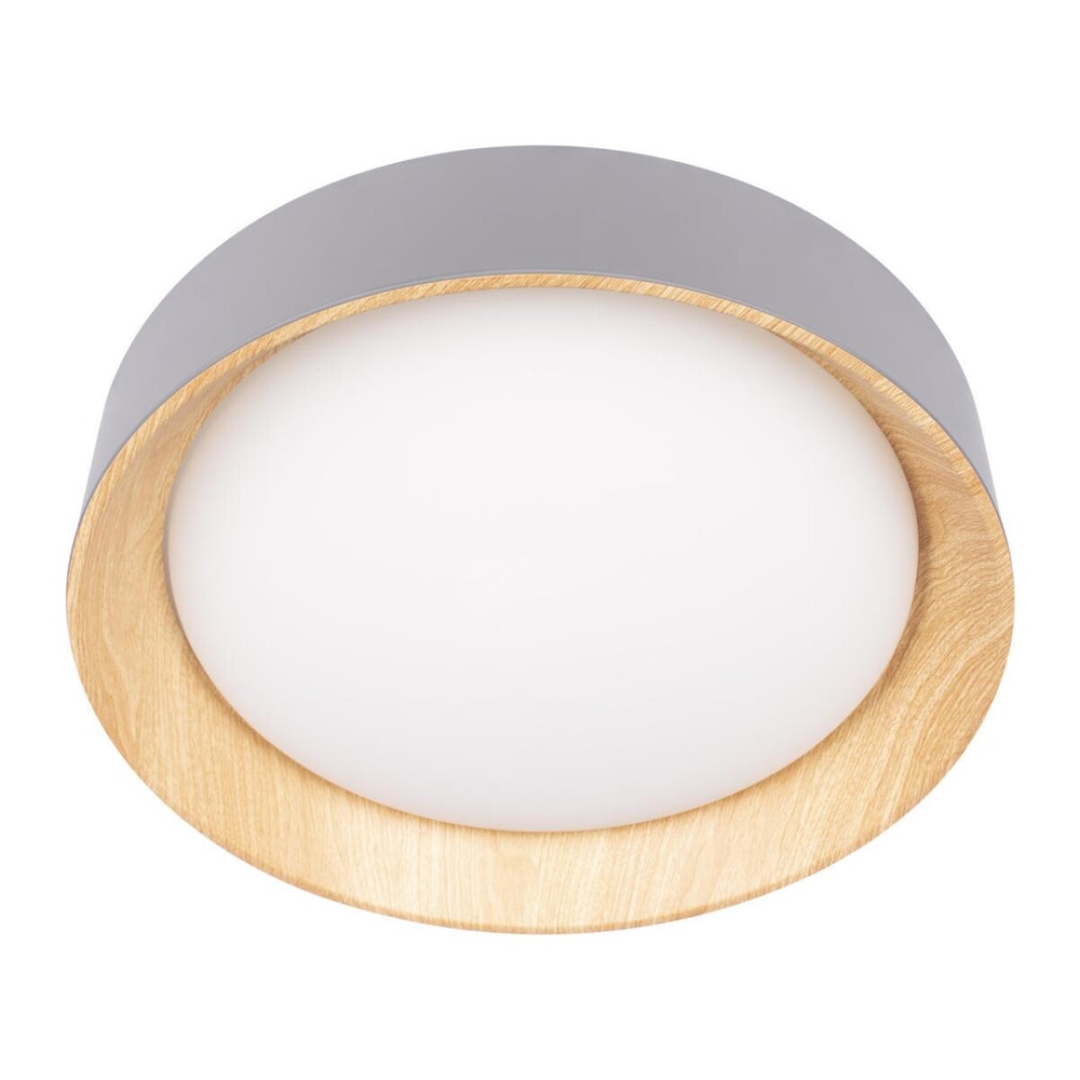 в наличии 10202 Grey Потолочный светильник LOFT IT Coin - купить в интернет-магазине Светильники Торг