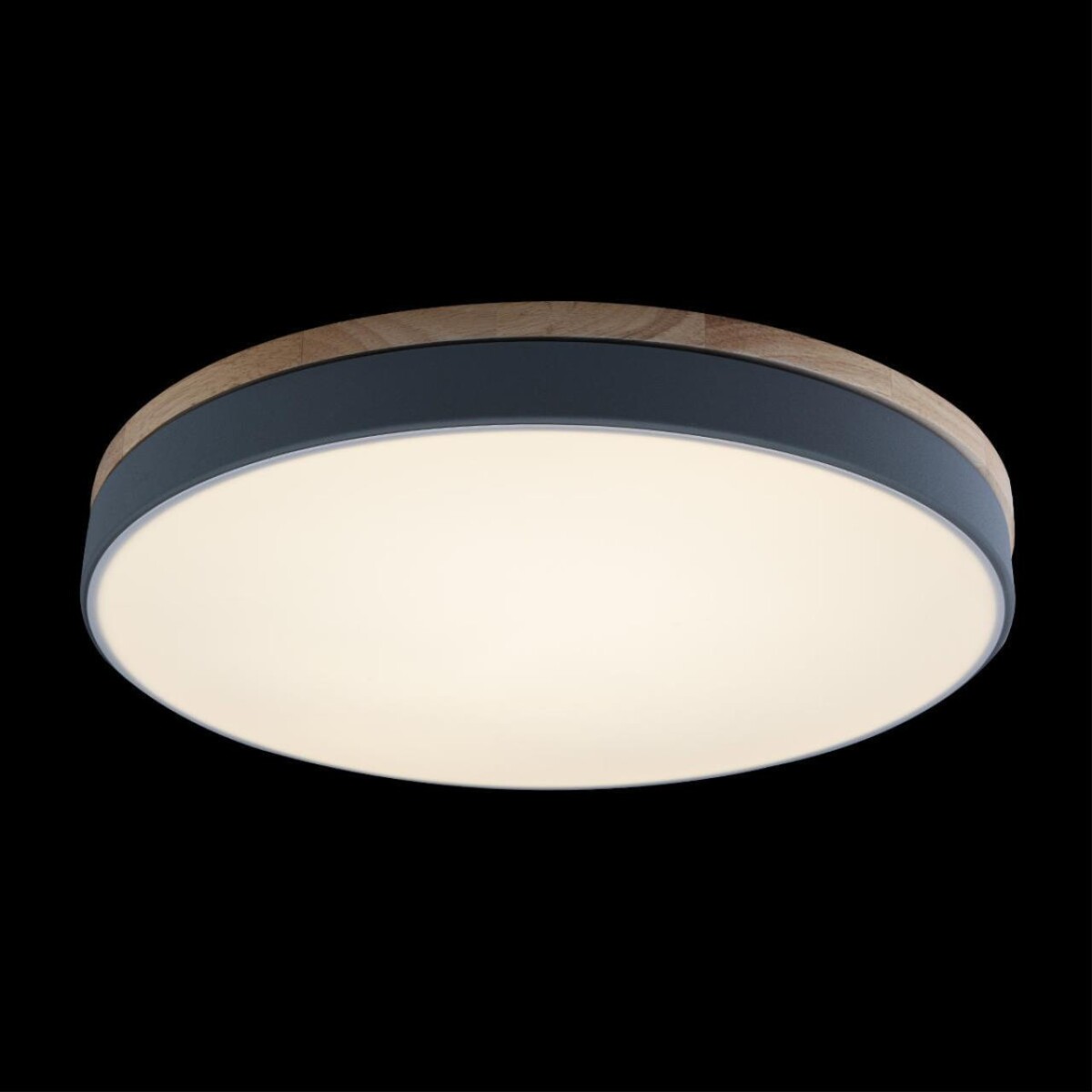 10001/36 Grey Потолочный светильник LOFT IT Axel — изображение 3